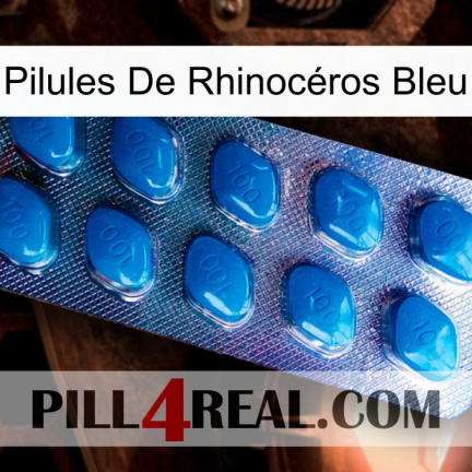 Pilules De Rhinocéros Bleu viagra1
